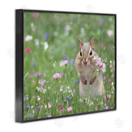 Lori Deiter | Chipmunk Picking Flowers