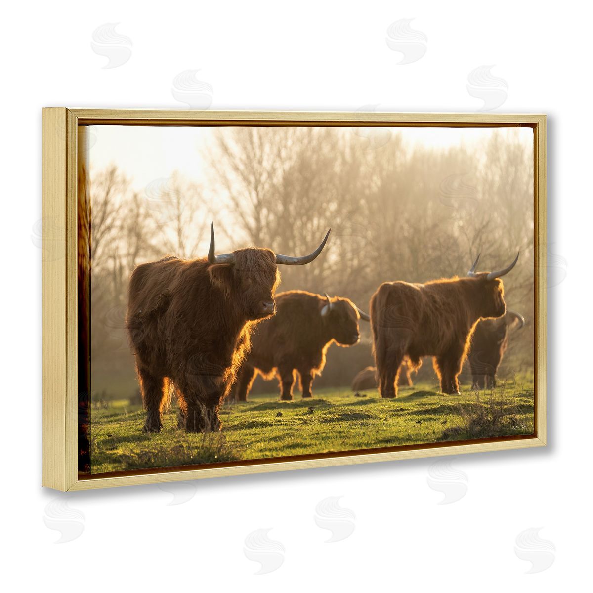 Longhorns in Foggy Pasture Gold Floating Frame Canvas Wall Art, Home Decor by Martin Podt Photography