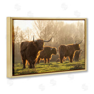 Martin Podt Photography | Longhorns in Foggy Pasture