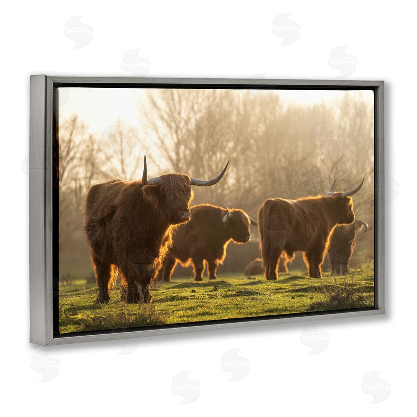 Martin Podt Photography | Longhorns in Foggy Pasture