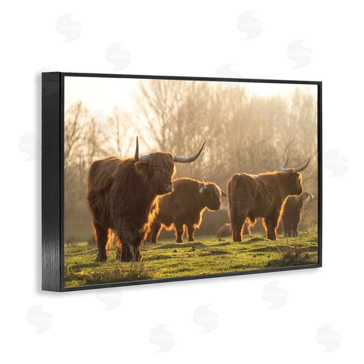 Longhorns in Foggy Pasture Black Frame Print Wall Art, Home Decor by Martin Podt Photography