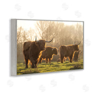 Martin Podt Photography | Longhorns in Foggy Pasture