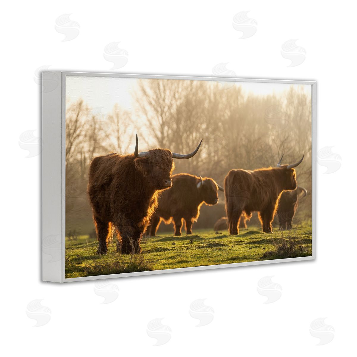 Longhorns in Foggy Pasture White Frame Print Wall Art, Home Decor by Martin Podt Photography