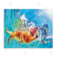 Masey St. Studios | Underwater Swimming Dog