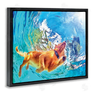 Masey St. Studios | Underwater Swimming Dog