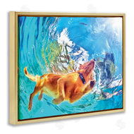 Masey St. Studios | Underwater Swimming Dog