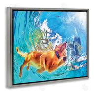 Masey St. Studios | Underwater Swimming Dog