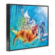Masey St. Studios | Underwater Swimming Dog