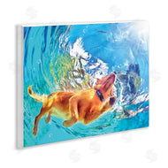 Masey St. Studios | Underwater Swimming Dog