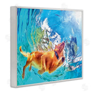 Masey St. Studios | Underwater Swimming Dog