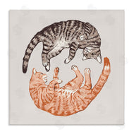 Ziwei Li | Tabby Cats Duo