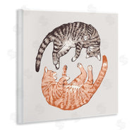 Ziwei Li | Tabby Cats Duo