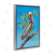 Jennifer Peck | Brown Pelican on Tree