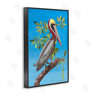 Jennifer Peck | Brown Pelican on Tree