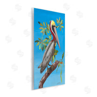 Jennifer Peck | Brown Pelican on Tree