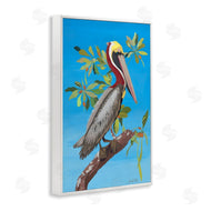 Jennifer Peck | Brown Pelican on Tree
