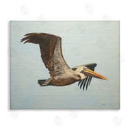 D. Rust | Brown Pelican in Flight