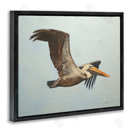 D. Rust | Brown Pelican in Flight