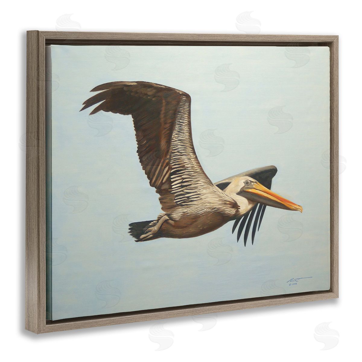 Brown Pelican in Flight Brown Floating Frame Canvas Wall Art, Home Decor by D. Rust