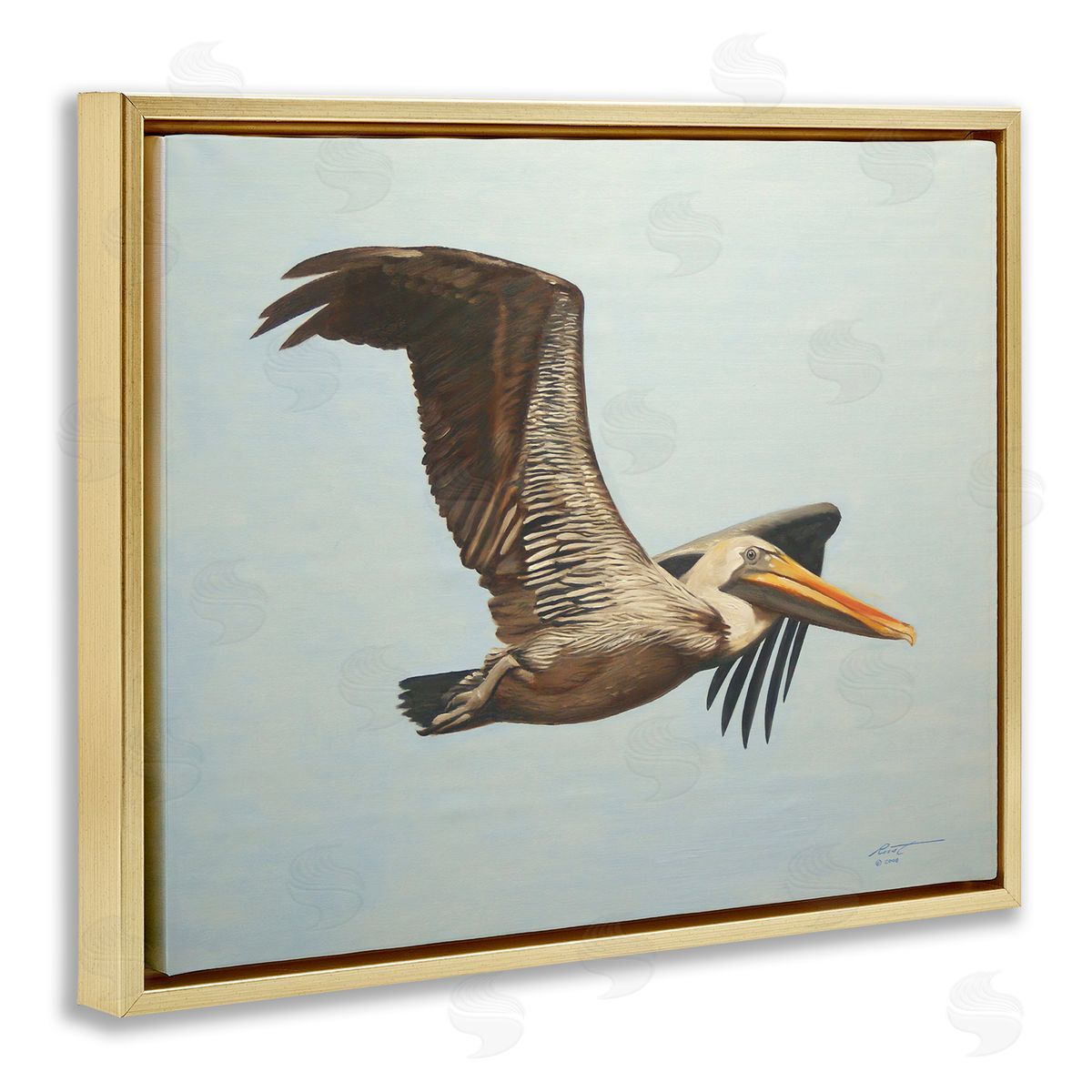 Brown Pelican in Flight Gold Floating Frame Canvas Wall Art, Home Decor by D. Rust