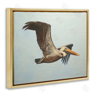 D. Rust | Brown Pelican in Flight