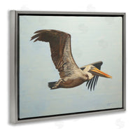 D. Rust | Brown Pelican in Flight