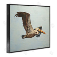 D. Rust | Brown Pelican in Flight