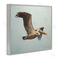 D. Rust | Brown Pelican in Flight