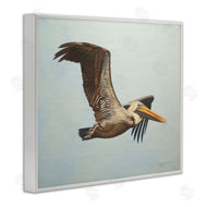 D. Rust | Brown Pelican in Flight