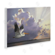 D. Rust | Dawn Sunrise Pelican