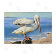 D. Rust | Beach Scene Pelican