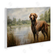 Petal Prints Design | Retriever Dog and Pond