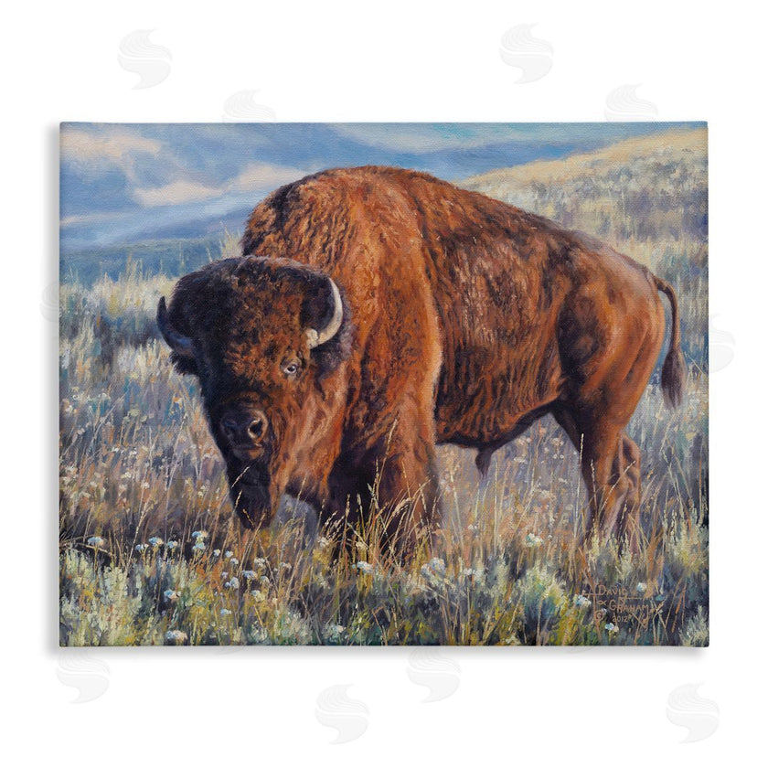David Graham | Prairie King Bison