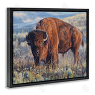 David Graham | Prairie King Bison