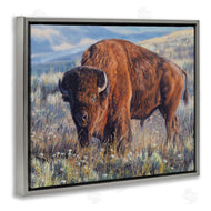 David Graham | Prairie King Bison