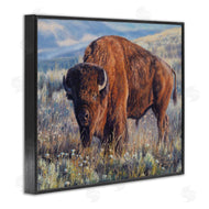 David Graham | Prairie King Bison
