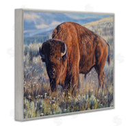 David Graham | Prairie King Bison