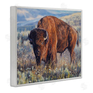David Graham | Prairie King Bison