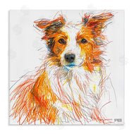 Roozbeh Bahramali | Collie Dog Sketch Style