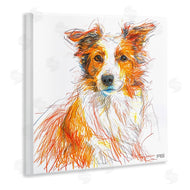 Roozbeh Bahramali | Collie Dog Sketch Style