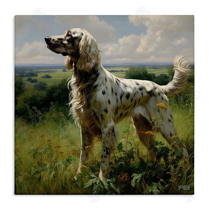 Roozbeh Bahramali | Dalmatian Dog in Countryside