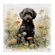 Roozbeh Bahramali | Black Terrier in Meadow