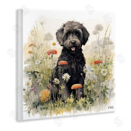 Roozbeh Bahramali | Black Terrier in Meadow