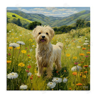 Roozbeh Bahramali | Terrier Dog Rural Meadow