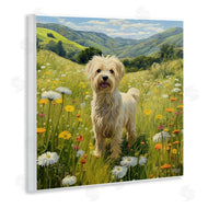 Roozbeh Bahramali | Terrier Dog Rural Meadow
