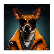 Roozbeh Bahramali | Stylish Dog with Sunglasses