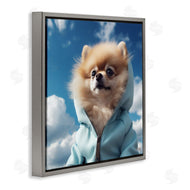 Roozbeh Bahramali | Pomeranian Dog and Clouds