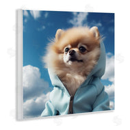 Roozbeh Bahramali | Pomeranian Dog and Clouds