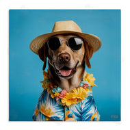 Roozbeh Bahramali | Dog with Aloha Shirt