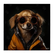 Roozbeh Bahramali | Stylish Dog on Black